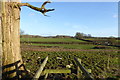 Looking across stream and fields from footbridge in PO17 6DF