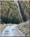 Frosty path to Glentress Forest in EH45 8BH