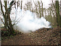 Burning rubbish in Nine Acre Plantation in NR10 4PN