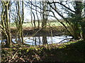 Pond next to Watery Lane in TN15 0ES