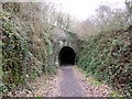 South portal of tunnel near Landcross in EX39 5JJ