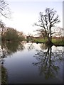 The Wey, downstream from Newark Priory in GU23 6DP