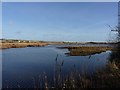 Lodmoor Nature Reserve, Weymouth in DT3 6HY