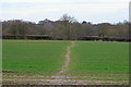 Footpath over arable land to Spickets Wood, Great Totham in Great Totham