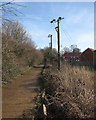 Downham Market: path, poles and new houses in PE38 9GN