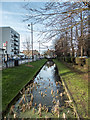 New River, Enfield Town in EN1 1YF