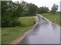 Forest Road in the rain, Burley Moor, New Forest in BH24 4HW