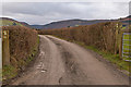Lane to Glan-Elan farm in LD6 5AS
