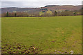 Field near Glan-Elan farm in LD6 5AS