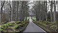 Minor road through the Black Isle in IV7 8GY