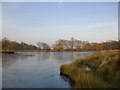 The Lower Pen Pond, frozen over in East Sheen Ward