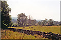 Ure Valley (Wensleydale) east of Aysgarth, 1991 in DL8 4JB
