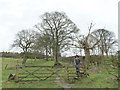 Stile on footpath leading to Harrock Hill and the old windmill in Hilldale