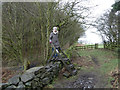 Stile on footpath to Harrock Hill in L40 3SN