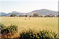 Cleveland Hills from Great Busby, near Stokesley in Great Busby