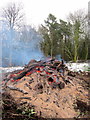Burning Brash and Shrubs The Lickey Hills in B45 8HT