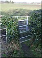 Unresponsive kissing Gate in Gresford Community