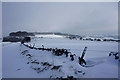 On Longstone Edge in winter in Calver & Longstone Ward
