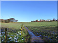 Footpath across farmland in Billinge in WN5 7PS