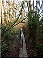 Boardwalk near Harlands Primary School in RH17 5NS