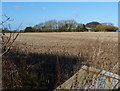 Farmland off Aston Lane near Sharnford in LE10 3QA