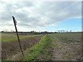 Footpath from Flax Lane to Burscough Hall Farm in L40 5TD