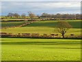 Farmland, Westward in CA7 8BD