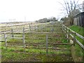 Coward's Marsh, stock pens in BH23 2NQ