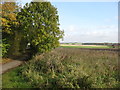 Farmland north of Boughton in Wissey Ward