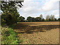 Farmland near West Dereham in PE33 9RJ