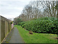 Path and green area between housing and A41 in WD24 5JN