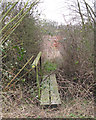 Overgrown footbridge, East Hanningfield in CM3 8BJ