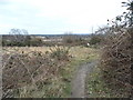 Path on Chobham Common in GU24 8TU