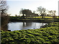 Frozen pond, Rimswell in HU19 2BY