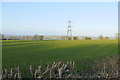 Powerlines and Fields near Lambert's Castle in EX13 5UW