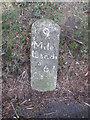 Milestone - Llandeilo 9 in SA32 7NA