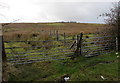 Two field gates on the south side of Hirwaun Road, Penywaun in CF44 9BB