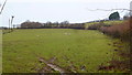 Sheep pasture north of Coed-y-Marchog in Glasbury Community