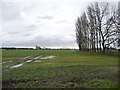 Waterlogged farmland, southern edge of Hambleton in YO8 9QA