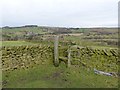 Stile between Hambleton Fold and Chatterton Lane Farms in SK6 5NF