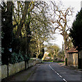 Little Wilbraham: Church Road in Little Wilbraham