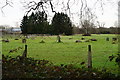 Stone Circle, West Byfleet in GU22 8TH