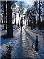 Icy path in Graves Park, Sheffield in S8 8LR
