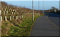 Path along the A47 Clickers Way in LE9 7NG