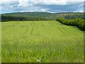 Farmland, Hesket in CA11 9NR