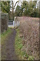 Footpath reaches Finchdean Road in PO9 6BX