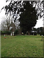 Footpath through St.Andrew's Churchyard in Aldringham cum Thorpe