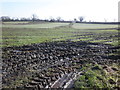 Soggy field, near Batten's Green in TA3 6TS