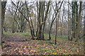 Woodland by Duke's Drive in RH5 5BP