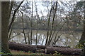 Fish pond by Duke's Drive in RH5 5BP